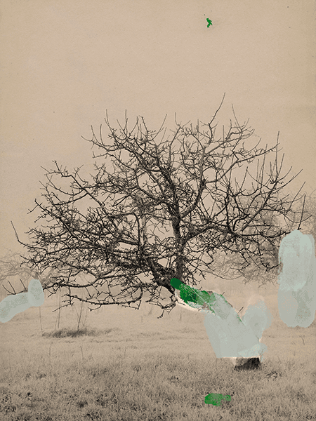 Traces of a Fading Landscape